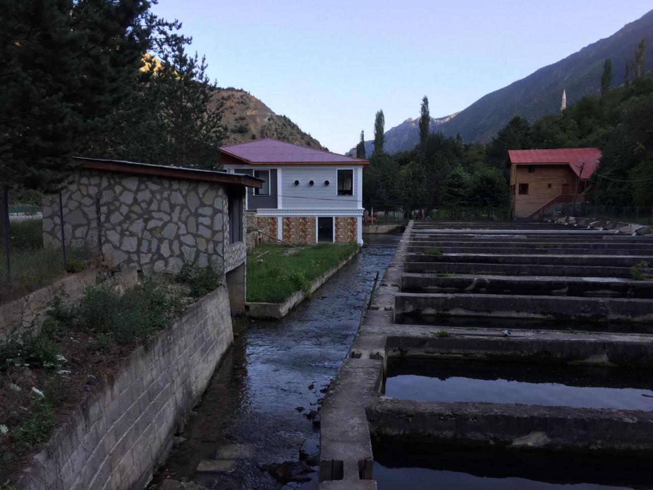 Agara Pansiyon Bostanci Bagian luar foto