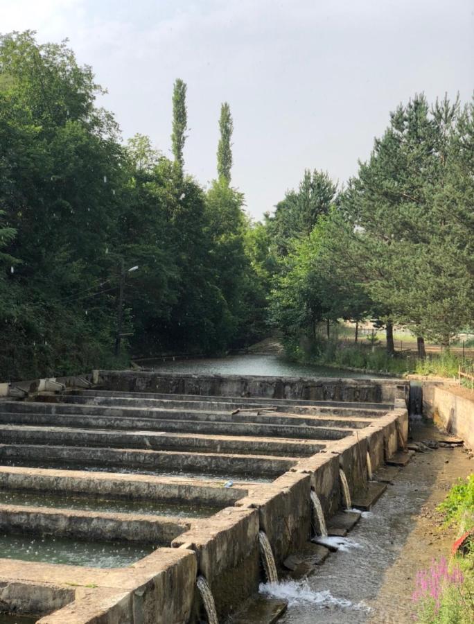 Agara Pansiyon Bostanci Bagian luar foto